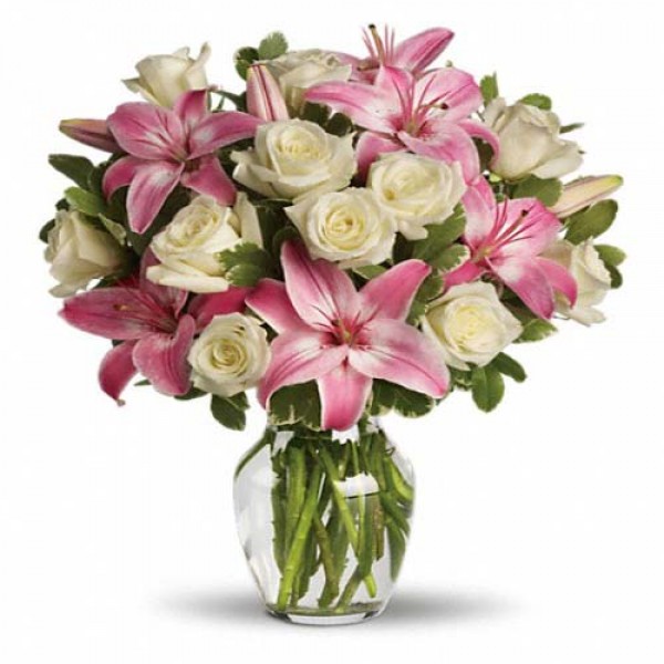 lily & Roses lovely Combo
